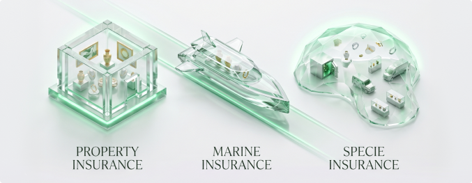 Three display cases comparing Property, Marine, and Specie Insurance